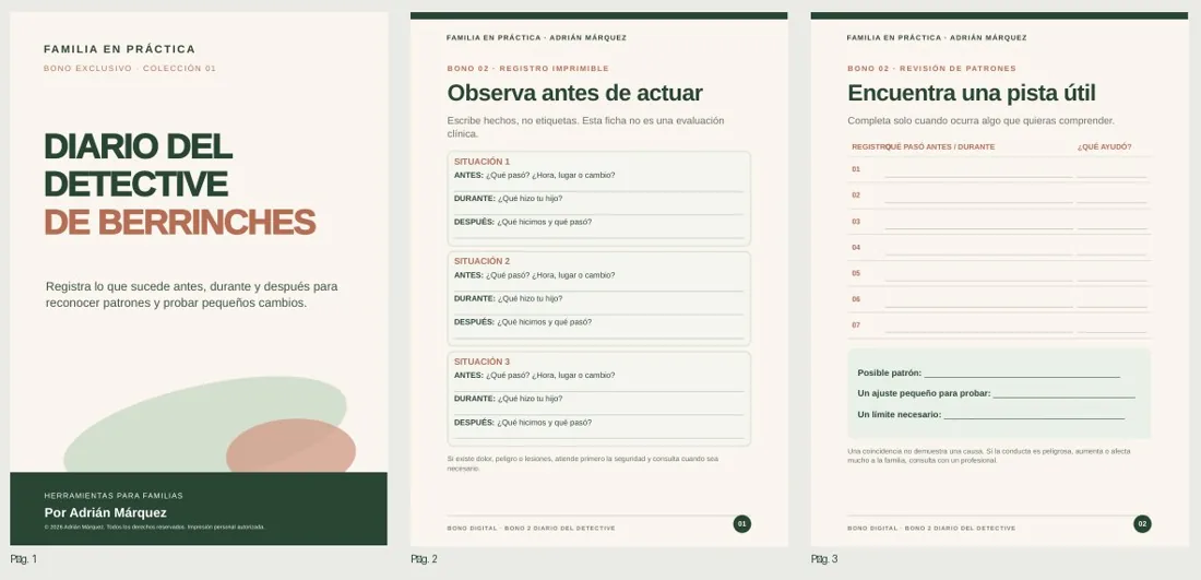 Vista previa del Diario del detective de berrinches